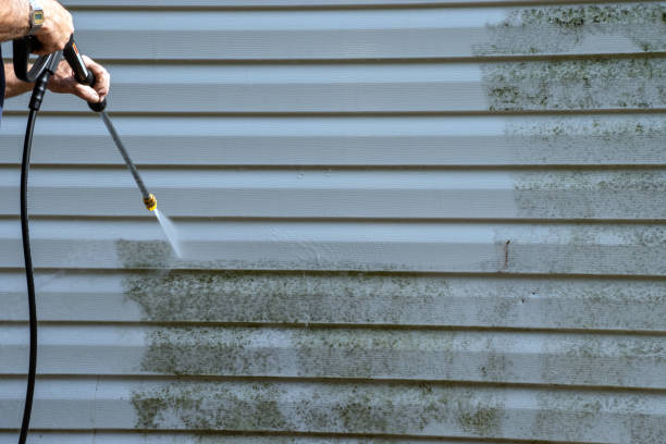Moving and Downsizing Cleanouts in Beltsville, MD